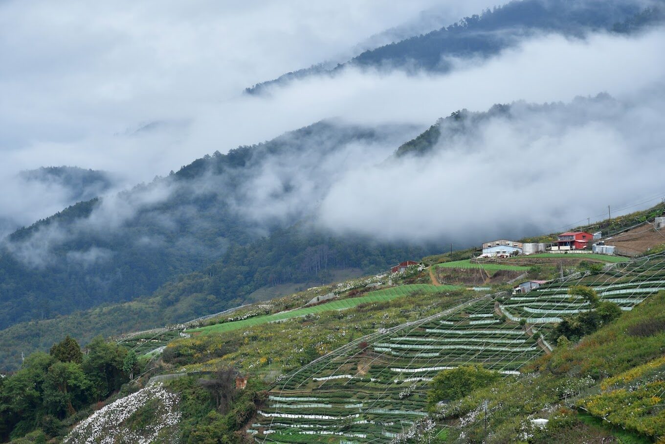 梨山賓館入住指南：不可錯過的必遊景點與在地美食