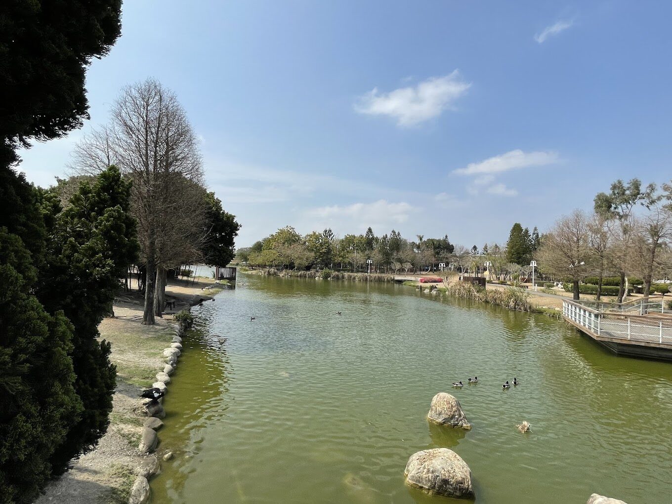溪州公園森林區自然美景