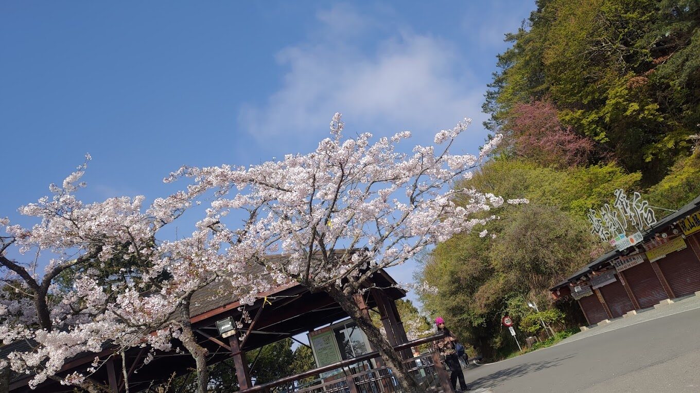 【2025】逐鹿部落必去景點｜避免錯過的自然奇觀