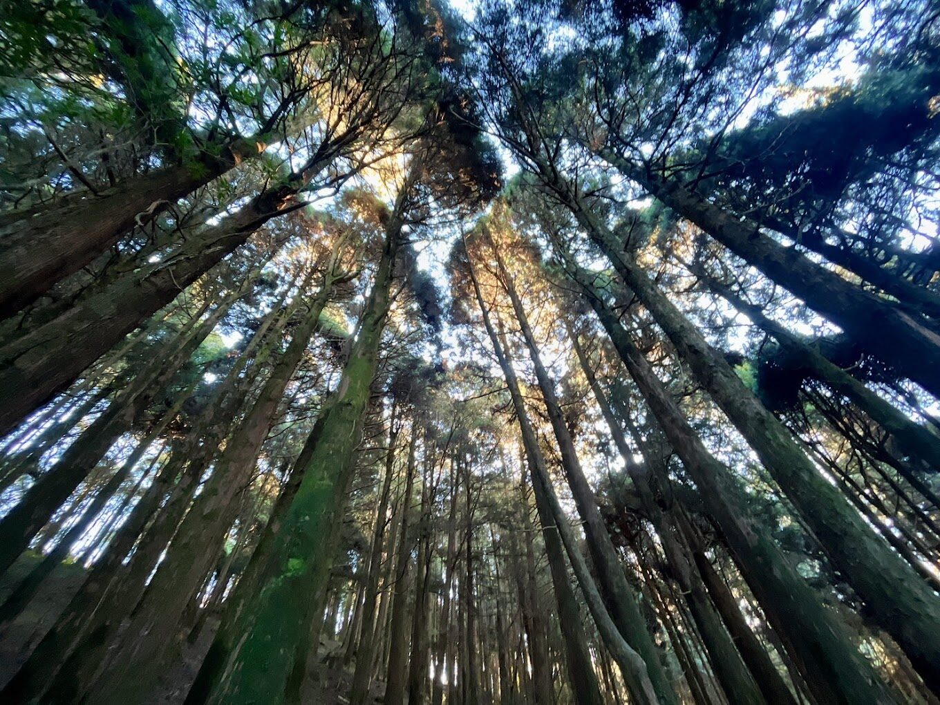 【2025】逐鹿部落必去景點｜避免錯過的自然奇觀