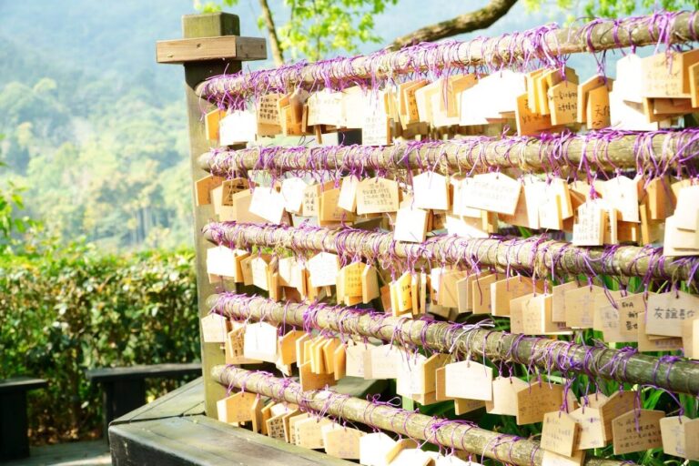 新社景點必遊清單|避開人潮的秘境