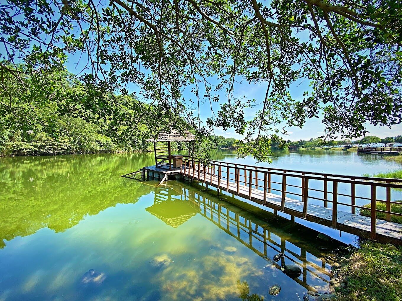 【2025】探索三坑自然生態公園：避開人群的最佳自然遊樂秘境