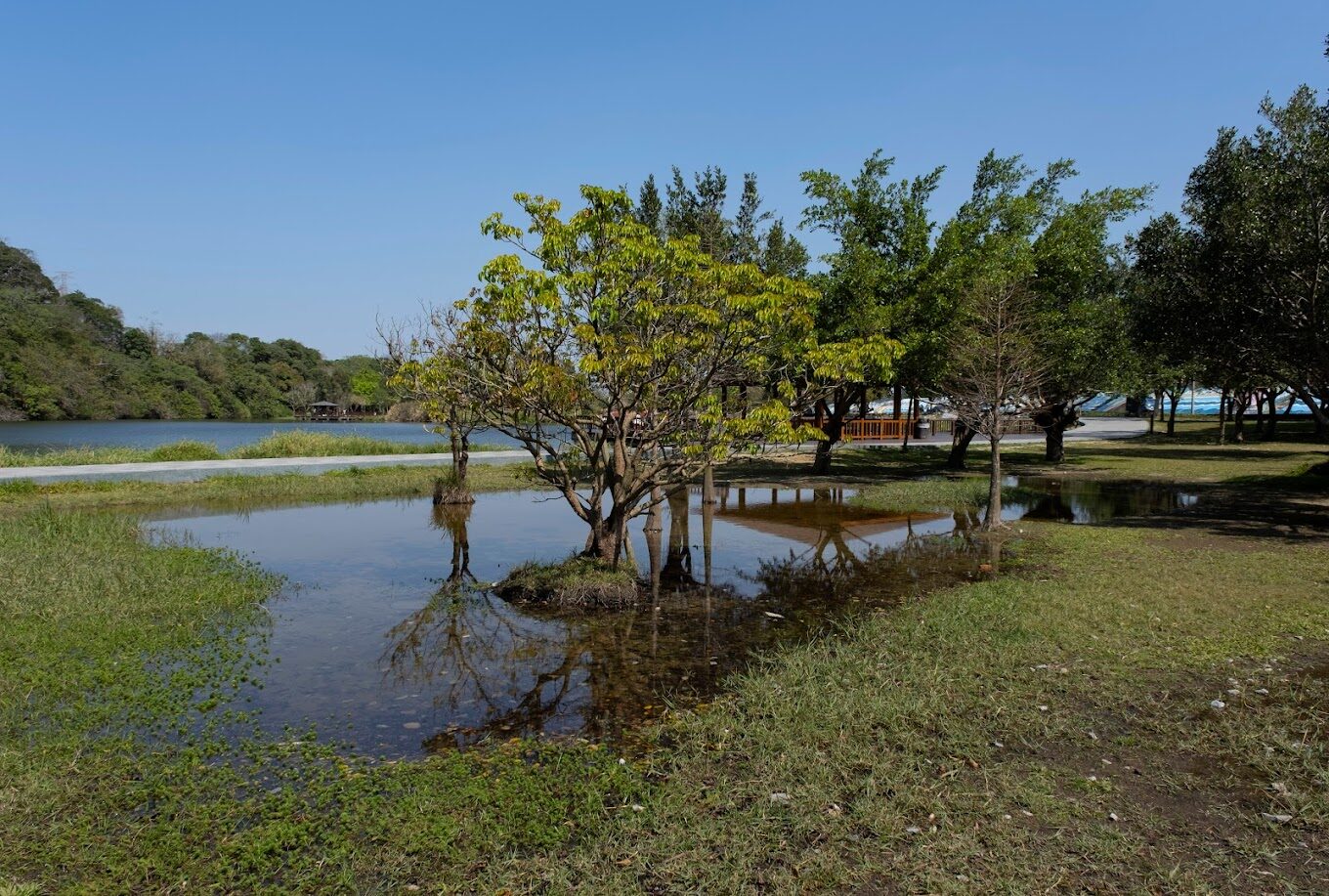 【2025】探索三坑自然生態公園：避開人群的最佳自然遊樂秘境