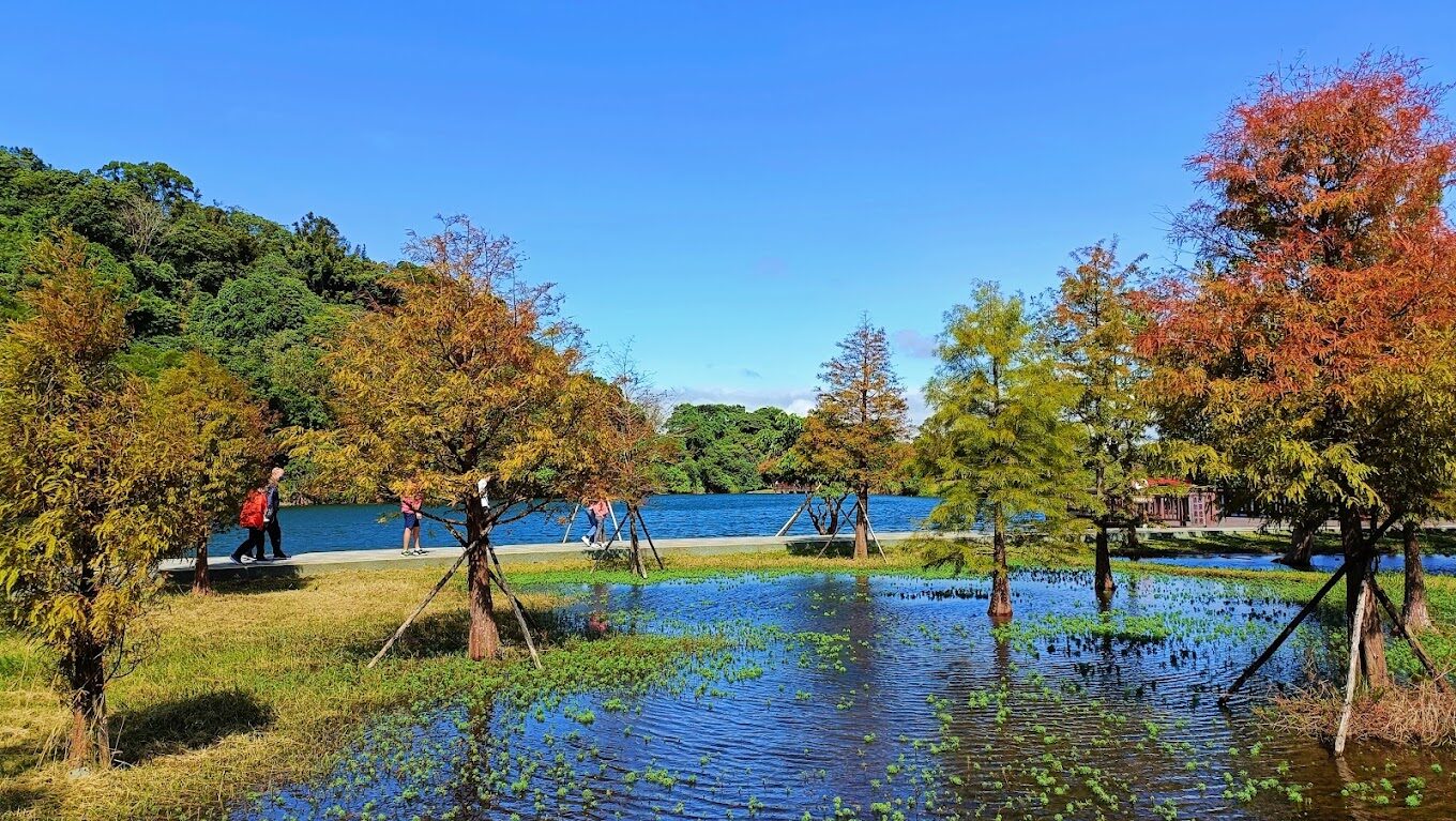 【2025】探索三坑自然生態公園：避開人群的最佳自然遊樂秘境