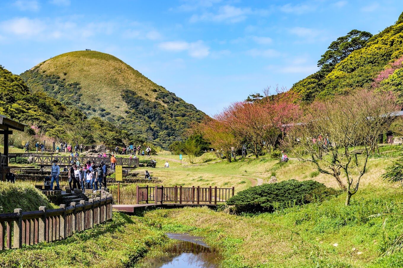 陽明山必去景點與美食推薦｜避開人潮的隱藏秘境