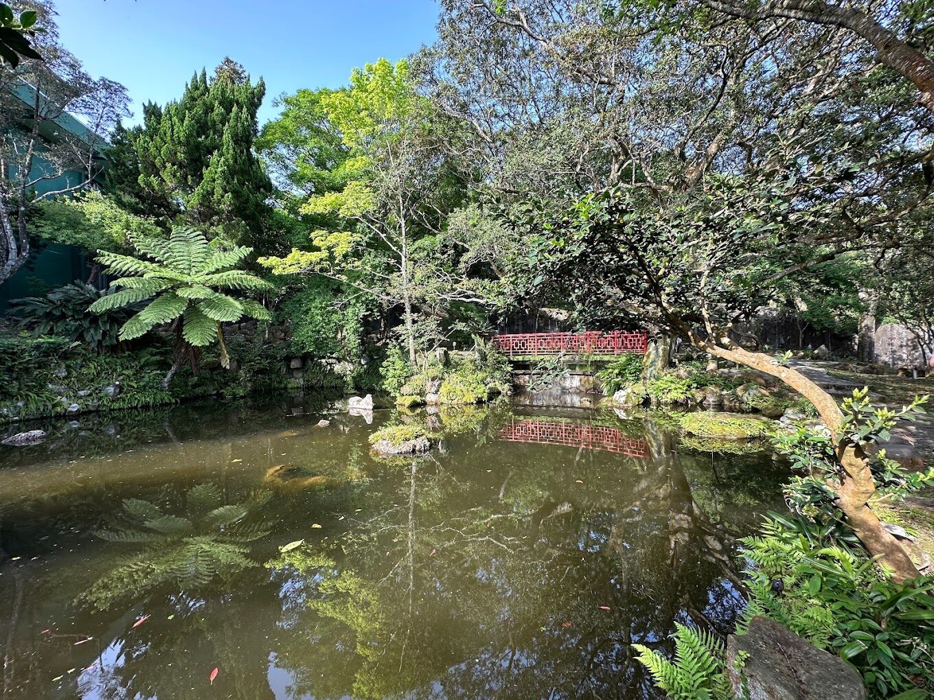 陽明山必去景點與美食推薦｜避開人潮的隱藏秘境