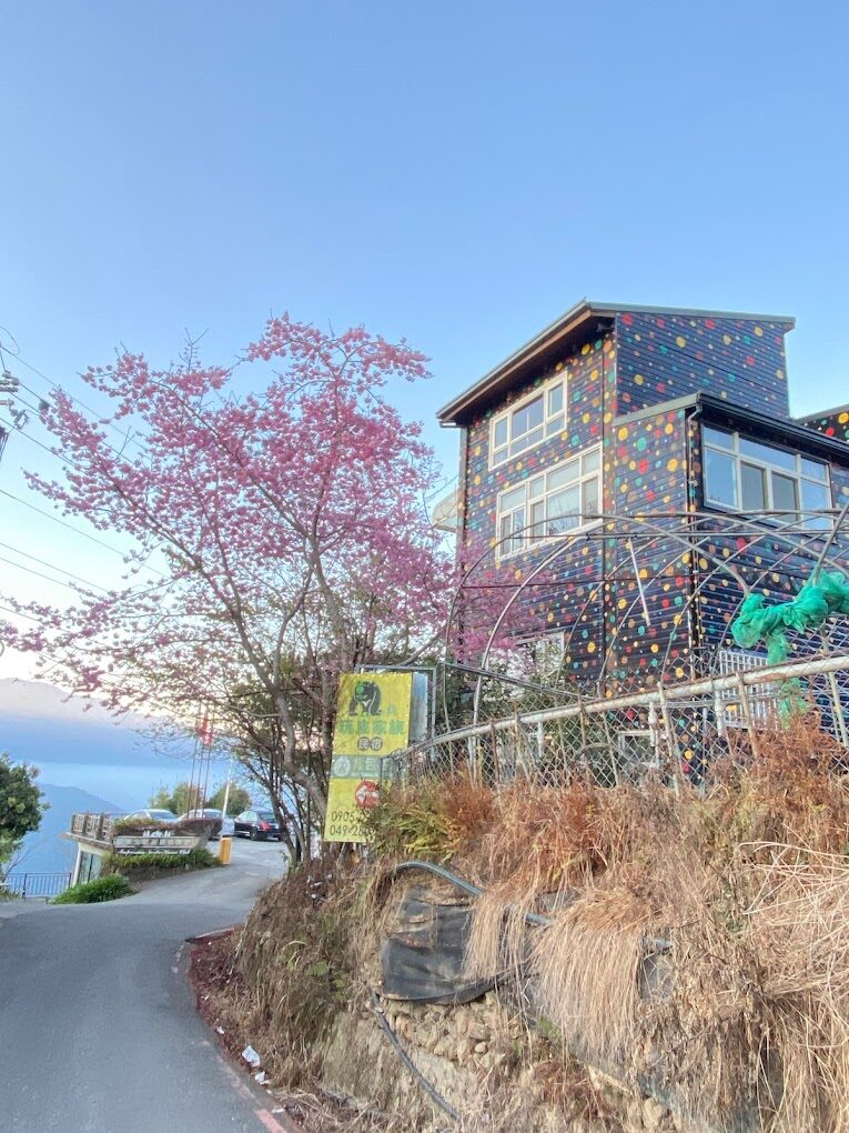 避免錯過清境空中花園民宿的理由｜不可不知的絕美景點秘辛