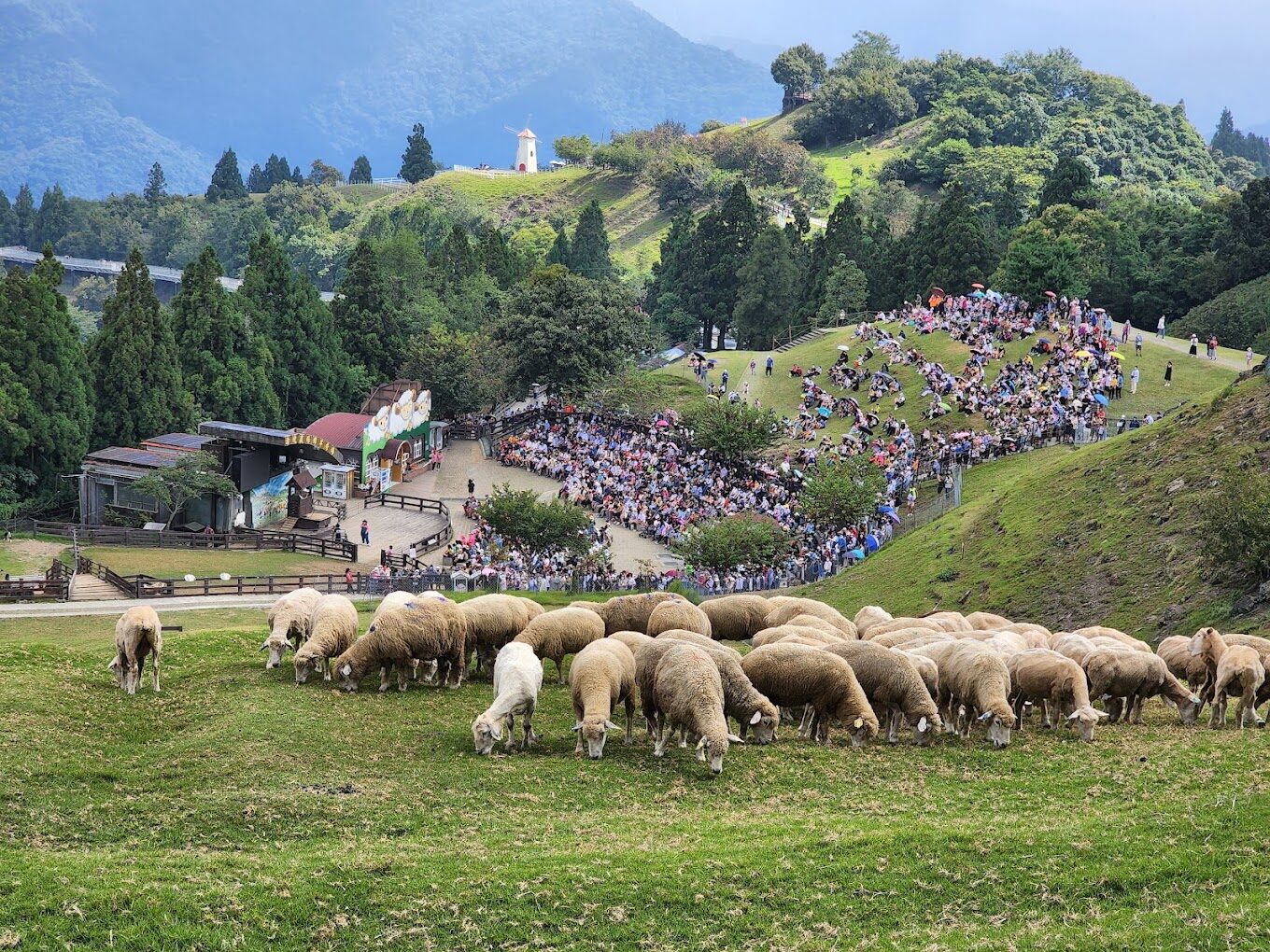 佛羅倫斯渡假山莊旅遊指南｜不可錯過的體驗與活動