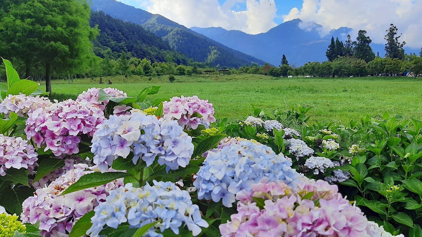 讓你避開武陵農場踩雷的攻略|旅行前必讀