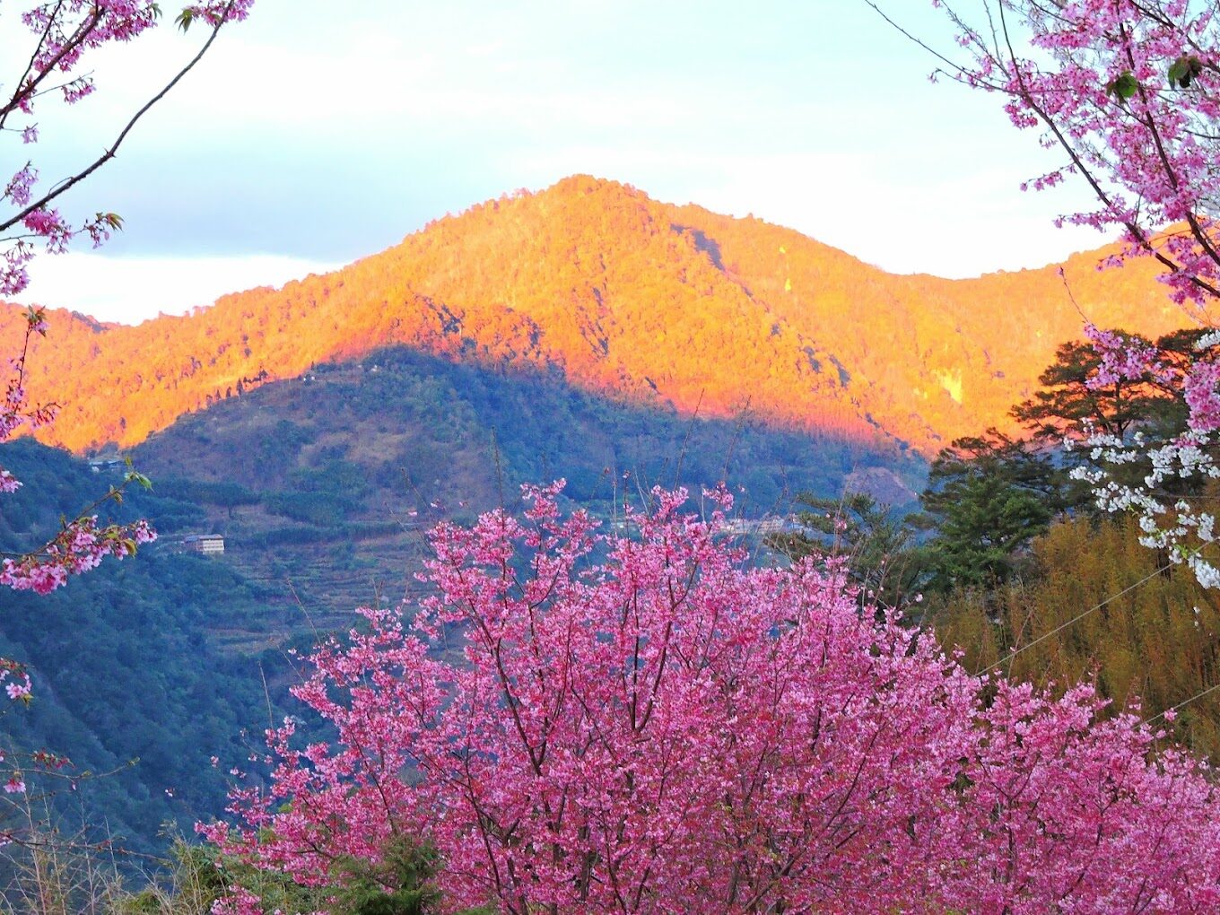 2025探索司馬庫斯：不可錯過的秘境與在地美食指南