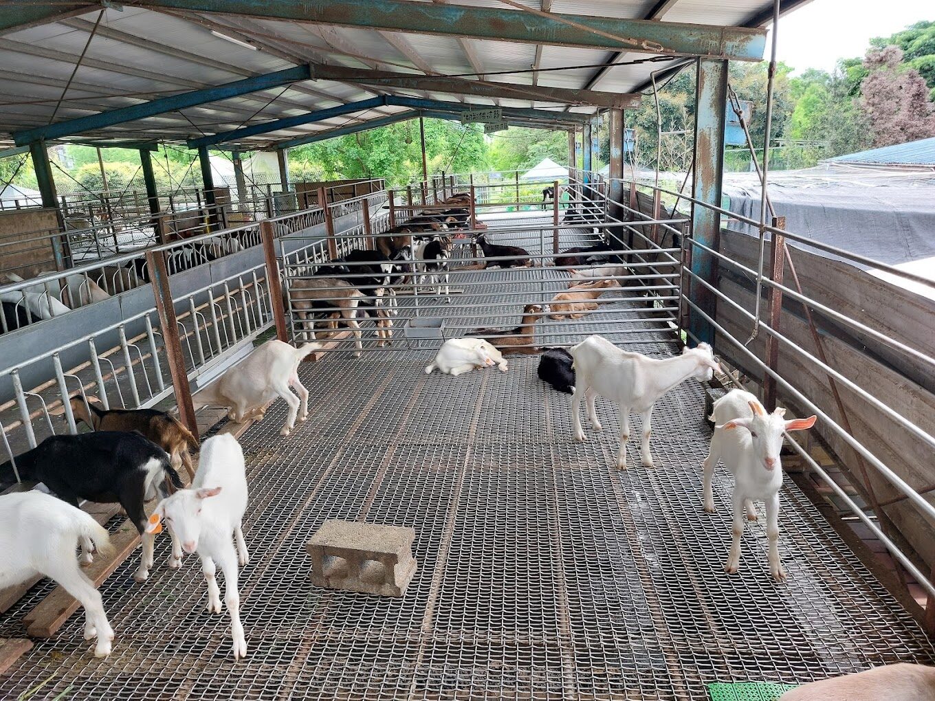 宜農牧場必做的5件事｜親子同遊地點最新推薦