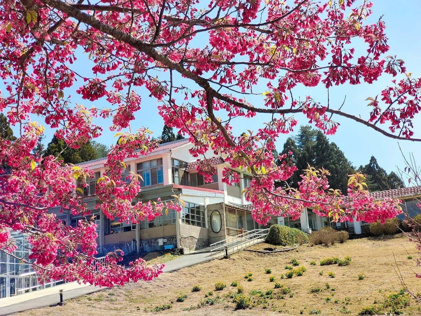 2025福壽山農場旅遊指南｜避開人潮秘訣與水果