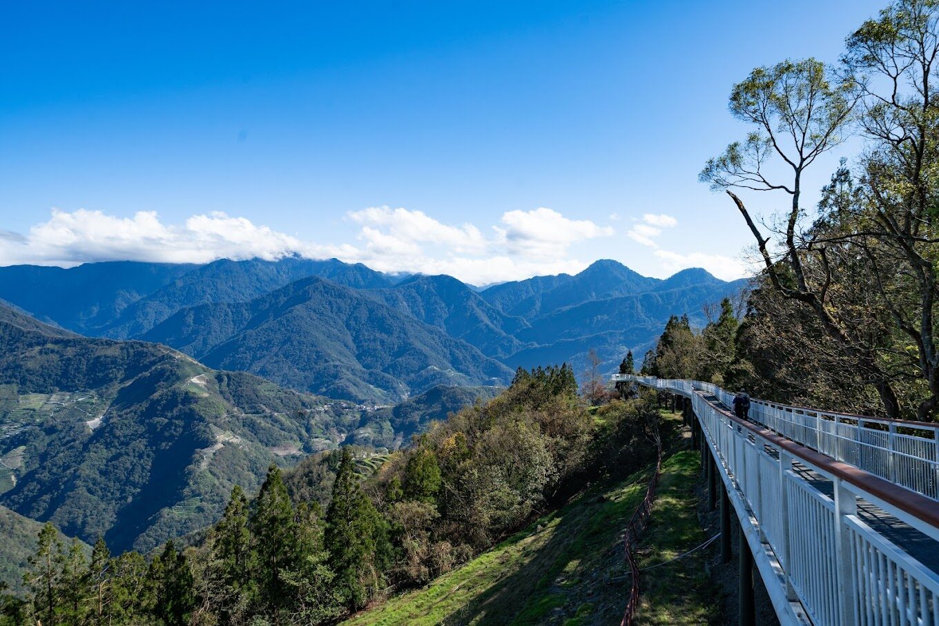 清境農場必訪景點：這地方讓你不虛此行！