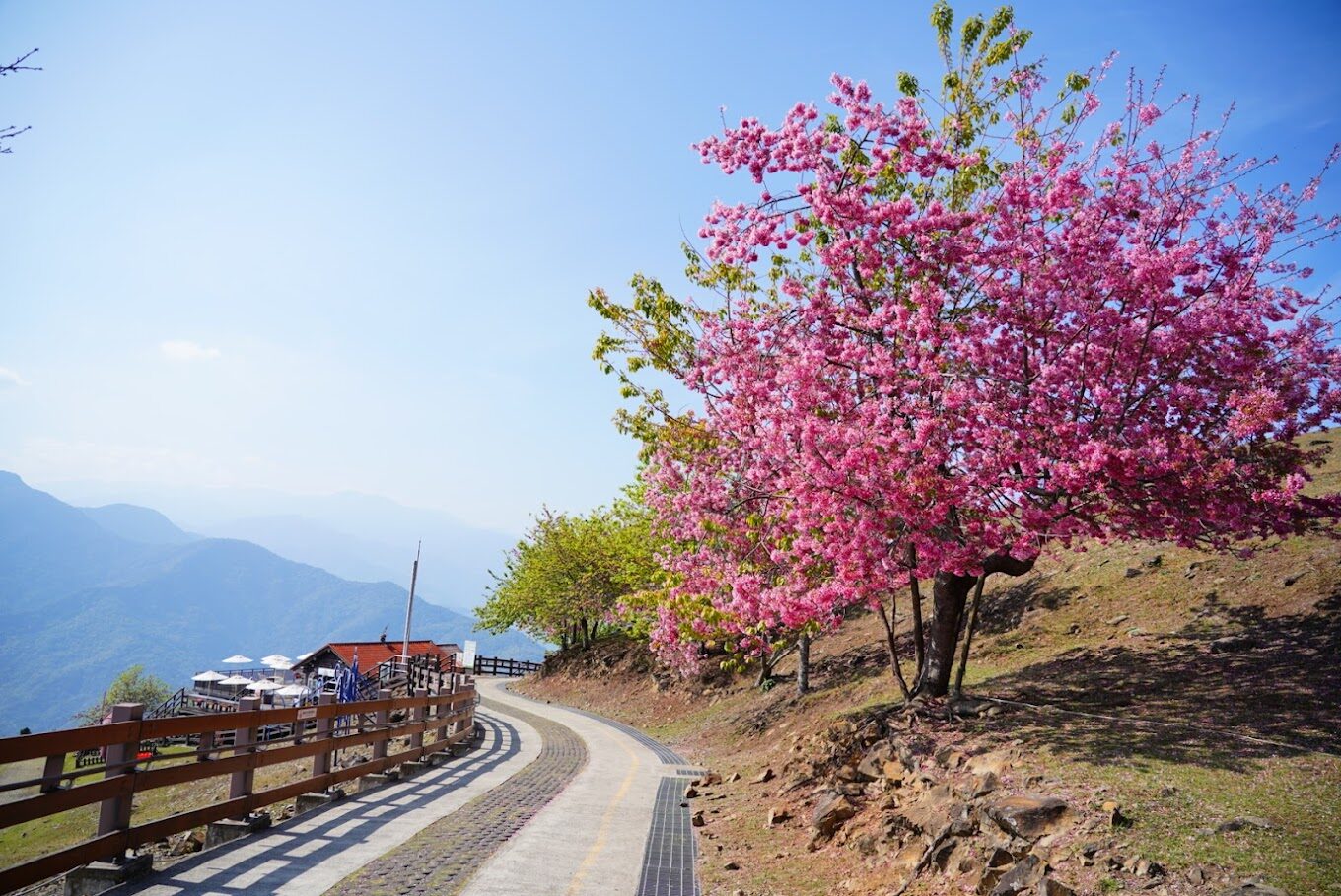 清境農場必訪景點：這地方讓你不虛此行！