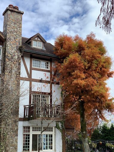 2025清境農場住宿懶人包｜必入住的超值選擇