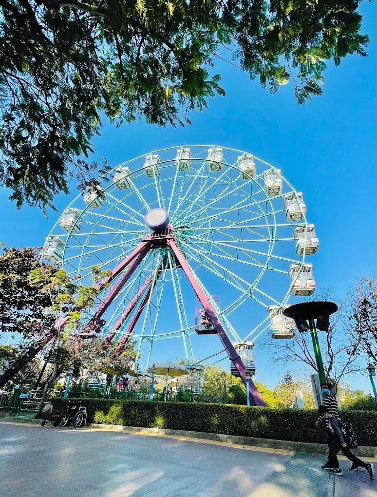 麗寶樂園必訪的3大理由｜帶你探索無需後悔的完美行程