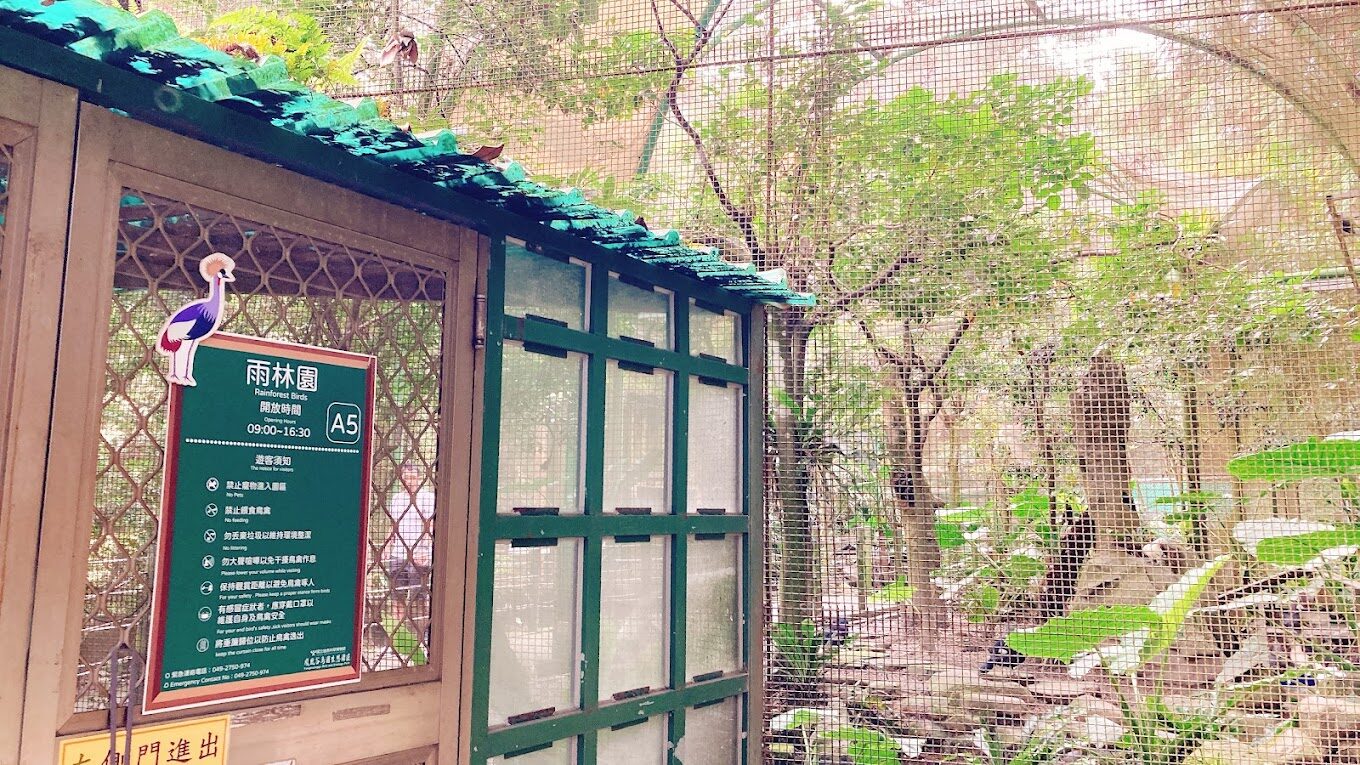 杉林溪秘境旅遊攻略：2025年不可錯過的景點