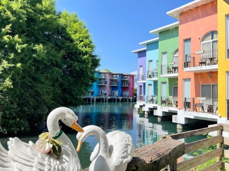 探索水岸森林休閒農場的5大必遊景點|自然愛好者不能錯過的綠色天堂