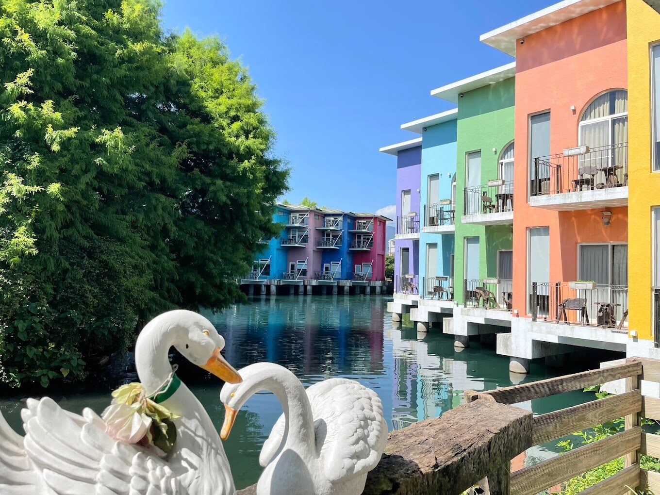 探索水岸森林休閒農場的5大必遊景點｜自然愛好者不能錯過的綠色天堂