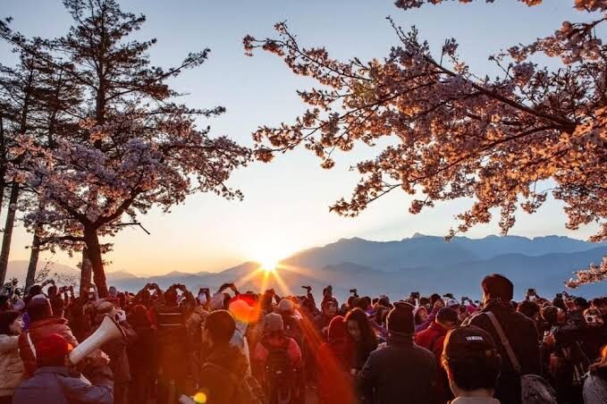 【2025】避開踩雷：阿里山住宿推薦的安心選擇