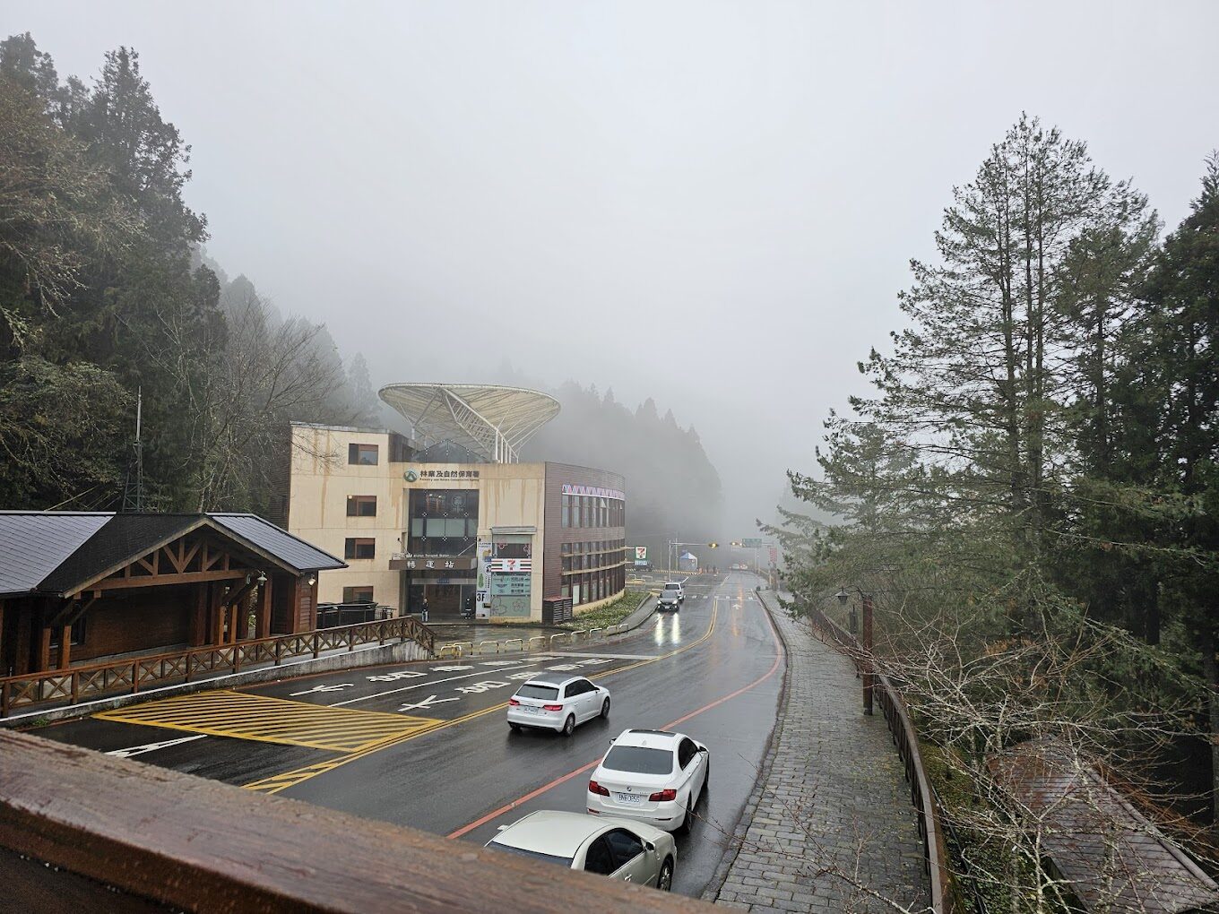 你應該避免的阿里山小火車常見錯誤｜旅客必讀指南
