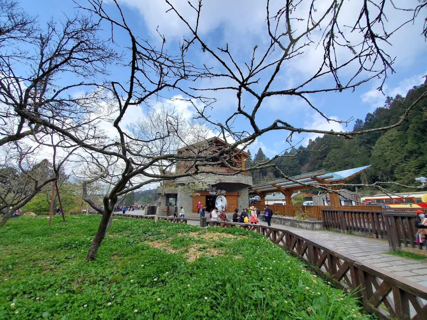 你應該避免的阿里山小火車常見錯誤｜旅客必讀指南