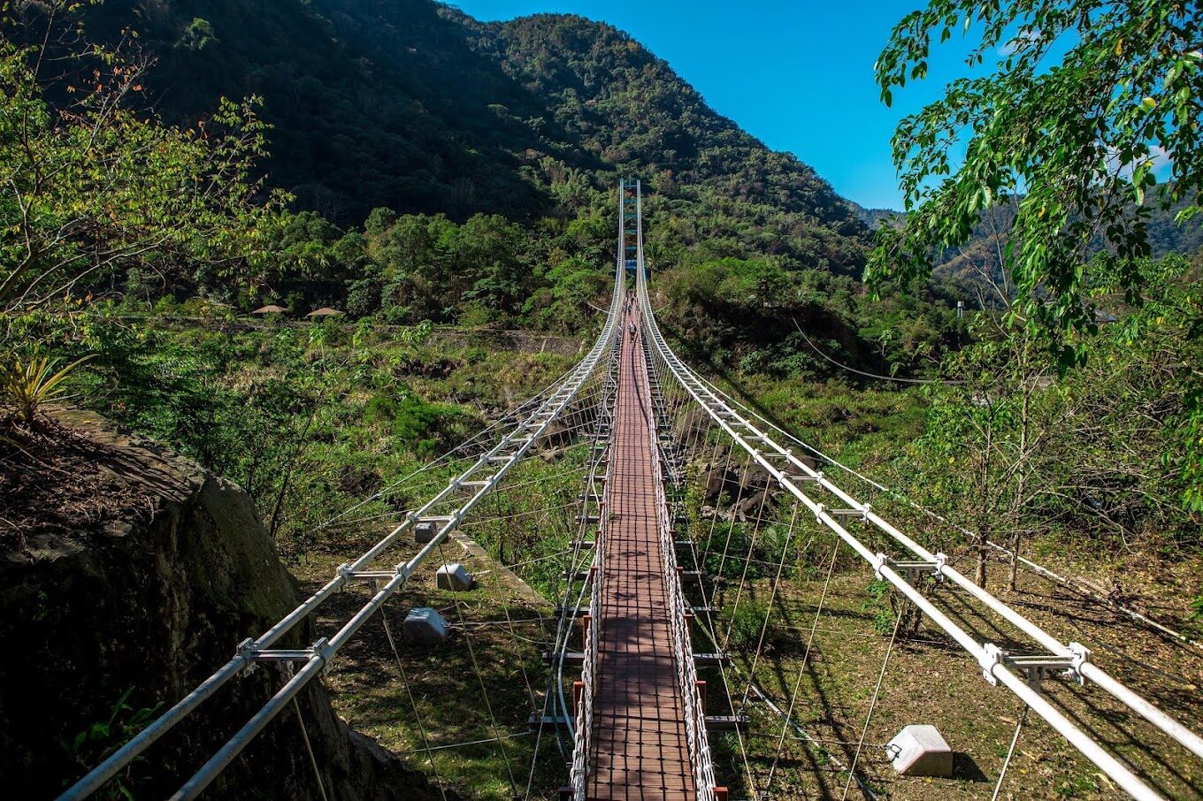 你應該避免的阿里山小火車常見錯誤｜旅客必讀指南