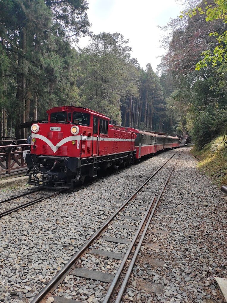 你應該避免的阿里山小火車常見錯誤｜旅客必讀指南