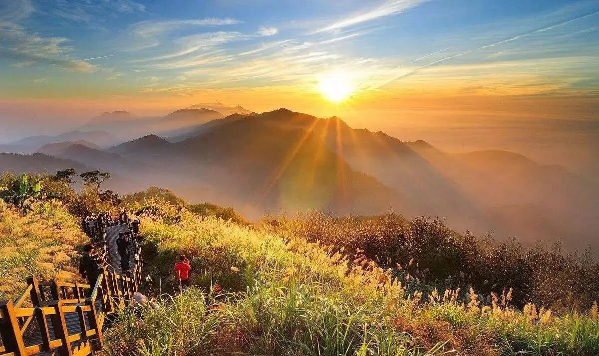 阿里山森林遊樂區必看攻略｜不能錯過的絕美景點