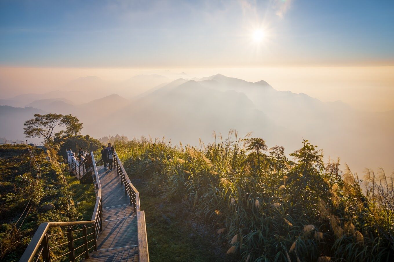 阿里山森林遊樂區必看攻略｜不能錯過的絕美景點