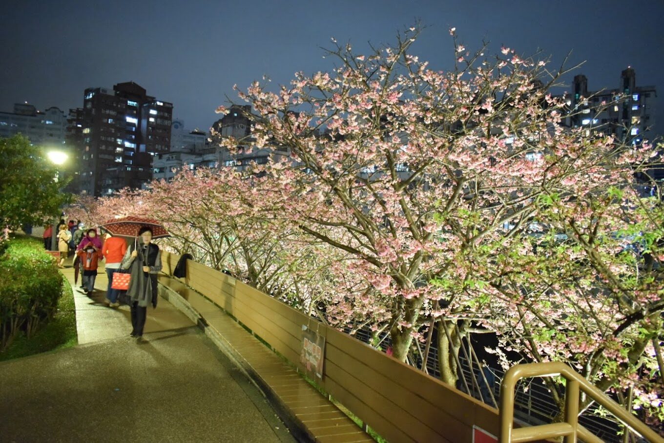 東湖櫻花林！你絕對不能錯過的賞櫻秘境