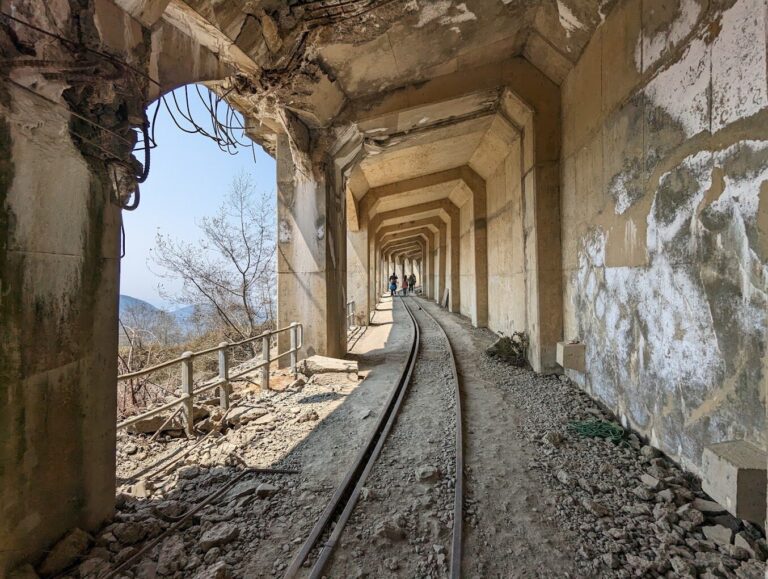 【2025】嘉義必去景點推薦｜避開觀光陷阱的秘訣