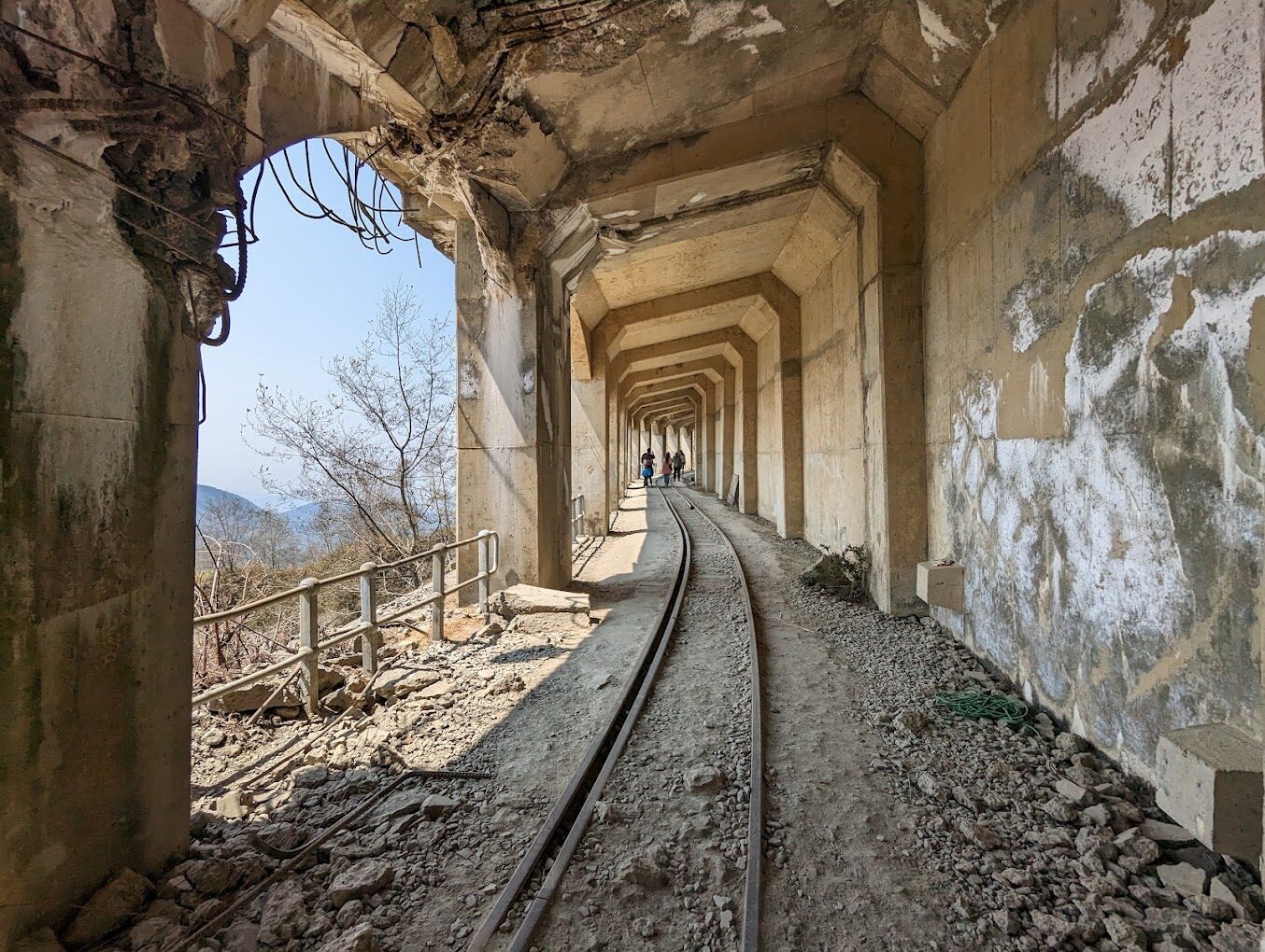 【2025】嘉義必去景點推薦｜避開觀光陷阱的秘訣