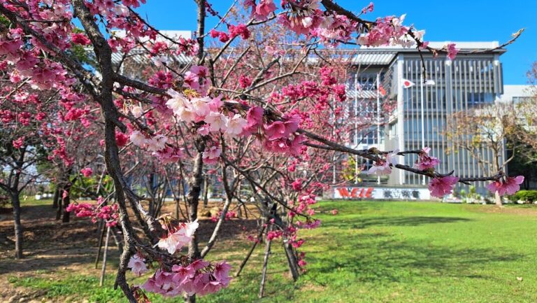 中科崴立櫻花公園：2025年不可錯過的春季景點！