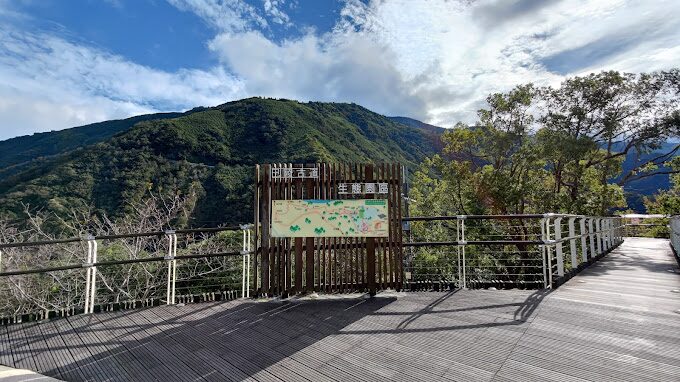 中巴陵櫻木花道：旅遊必訪的隱藏景點及其獨特魅力