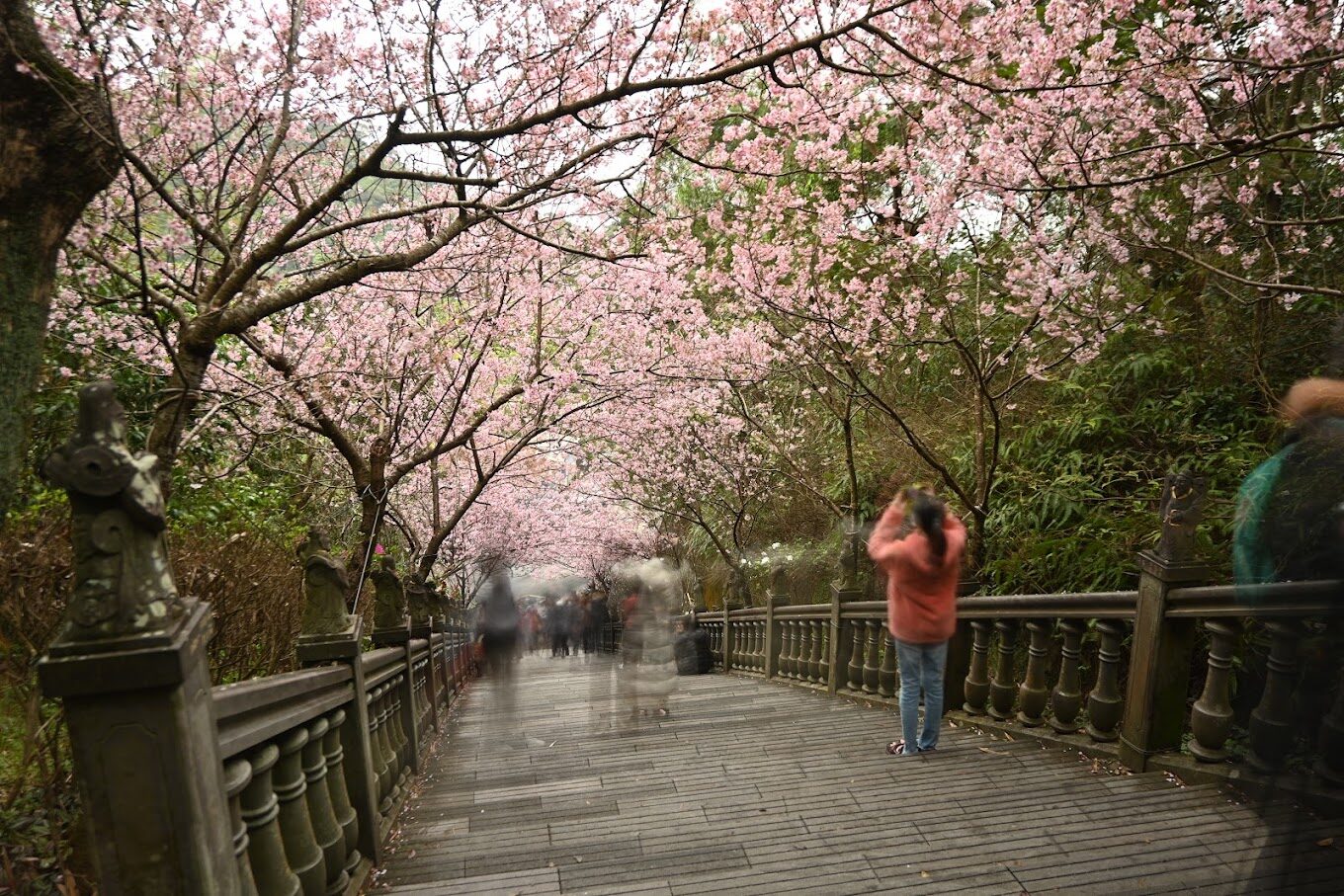 內湖碧山巖必訪景點｜2025年探尋台北秘境的最佳選擇