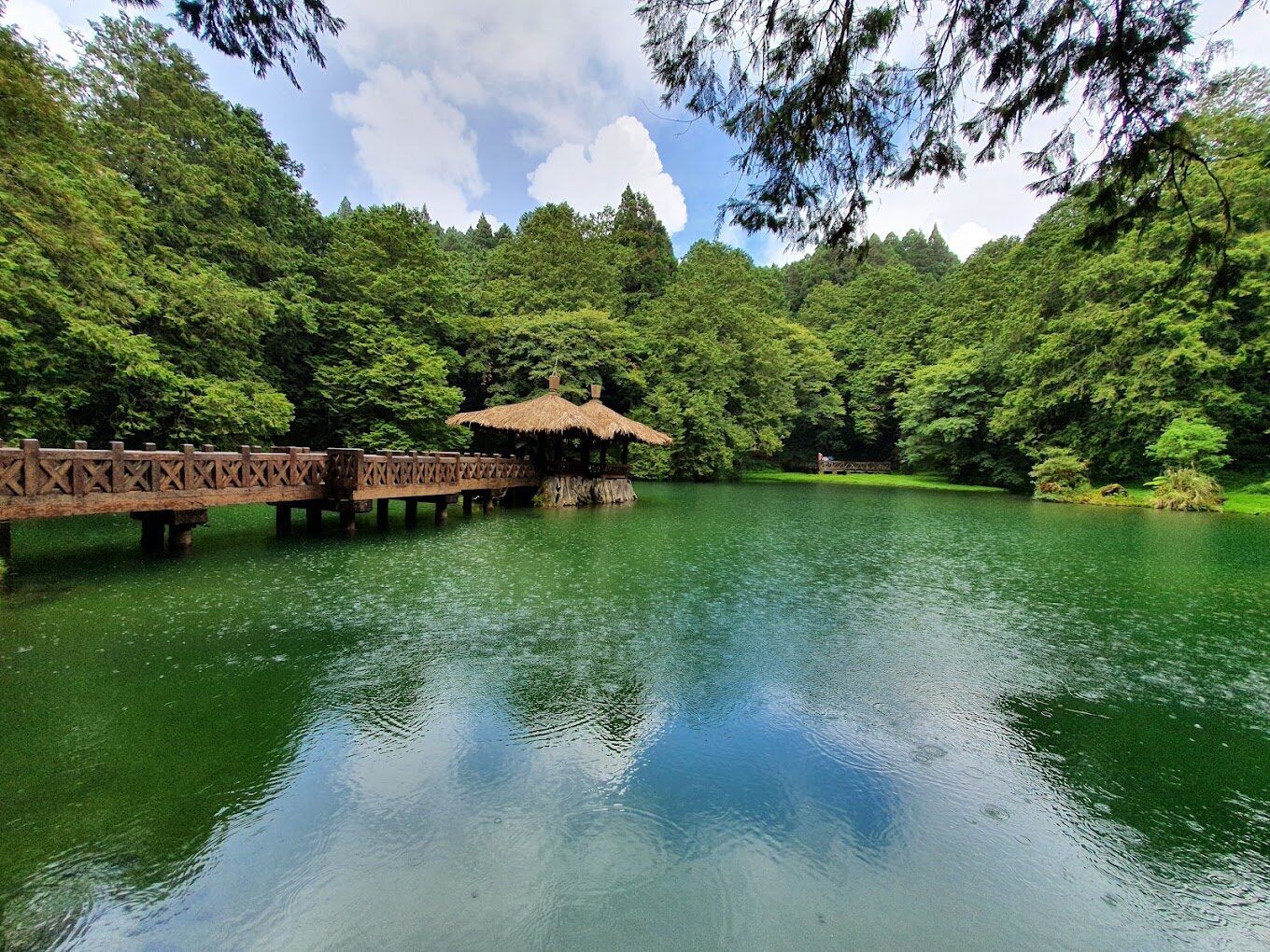 嘉義景點必去推薦｜探索這絕美打卡勝地不留遺憾