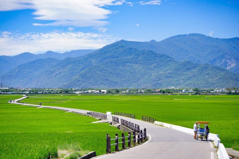 2025池上景點必訪清單｜小眾推薦不容錯過