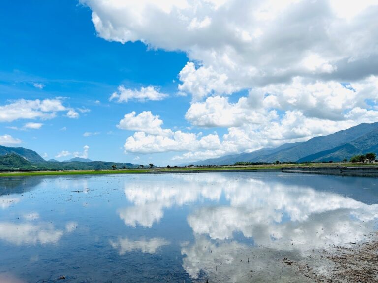 避免遊覽錯誤的伯朗大道景點！必訪景點和美食推薦