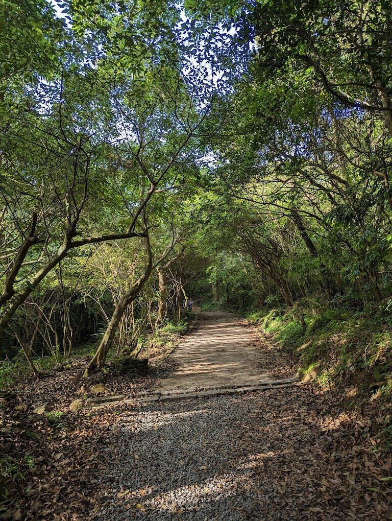 【2025】二子坪必遊懶人包｜避開旅遊陷阱，讓你的旅行更無憂