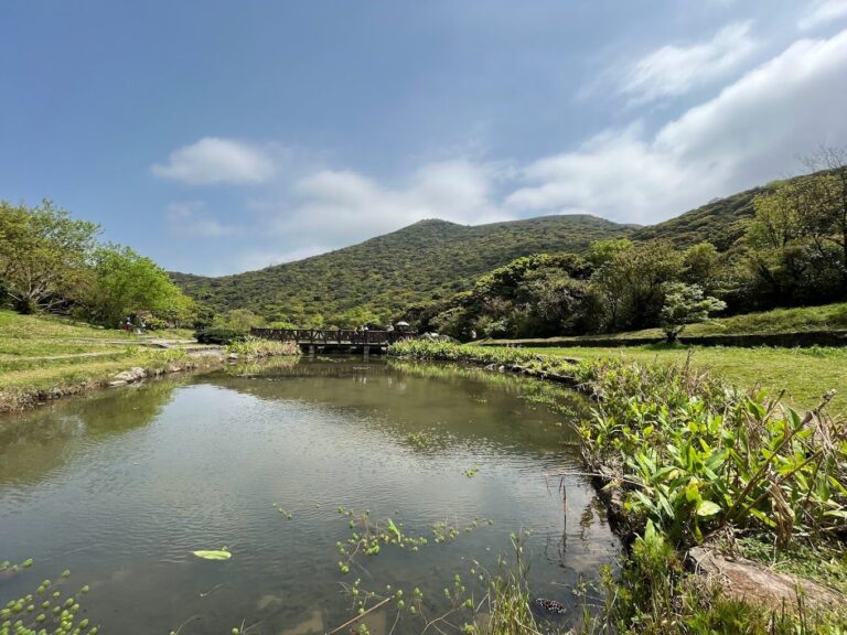 【2025】二子坪必遊懶人包｜避開旅遊陷阱，讓你的旅行更無憂