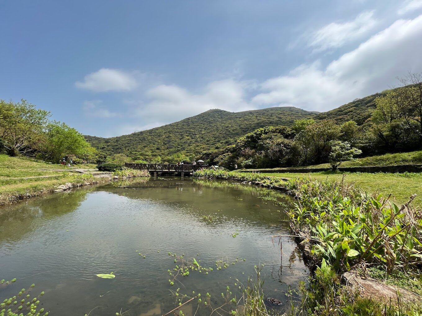 【2025】二子坪必遊懶人包｜避開旅遊陷阱，讓你的旅行更無憂