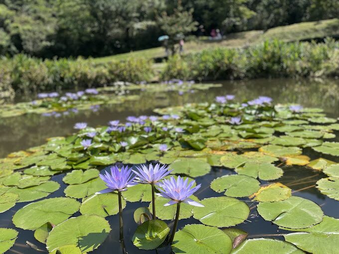 二子坪步道：你絕不能錯過的絕美景點