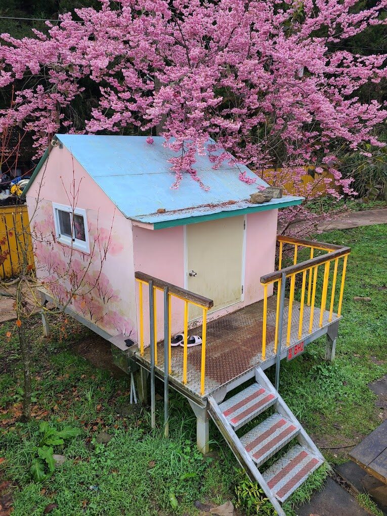 2025武陵農場必遊攻略｜絕美景點與必吃美食推薦