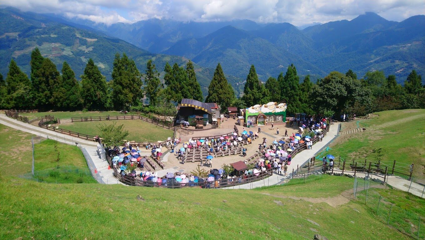 南投景點必訪清單|2025年最新推薦的自然美景