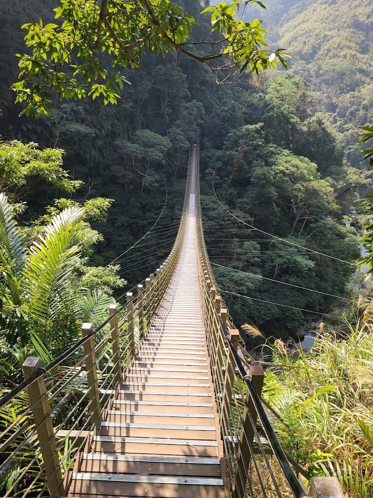 南投景點必訪清單｜2025年最新推薦的自然美景