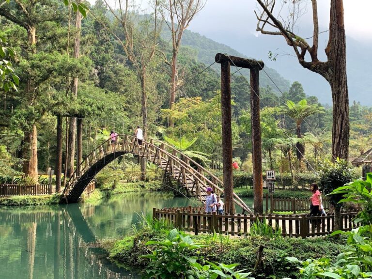 南投景點必訪清單｜2025年最新推薦的自然美景