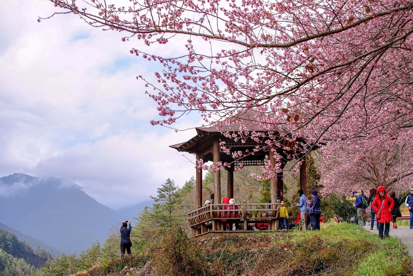 不容錯過的武陵農場｜秘境景點