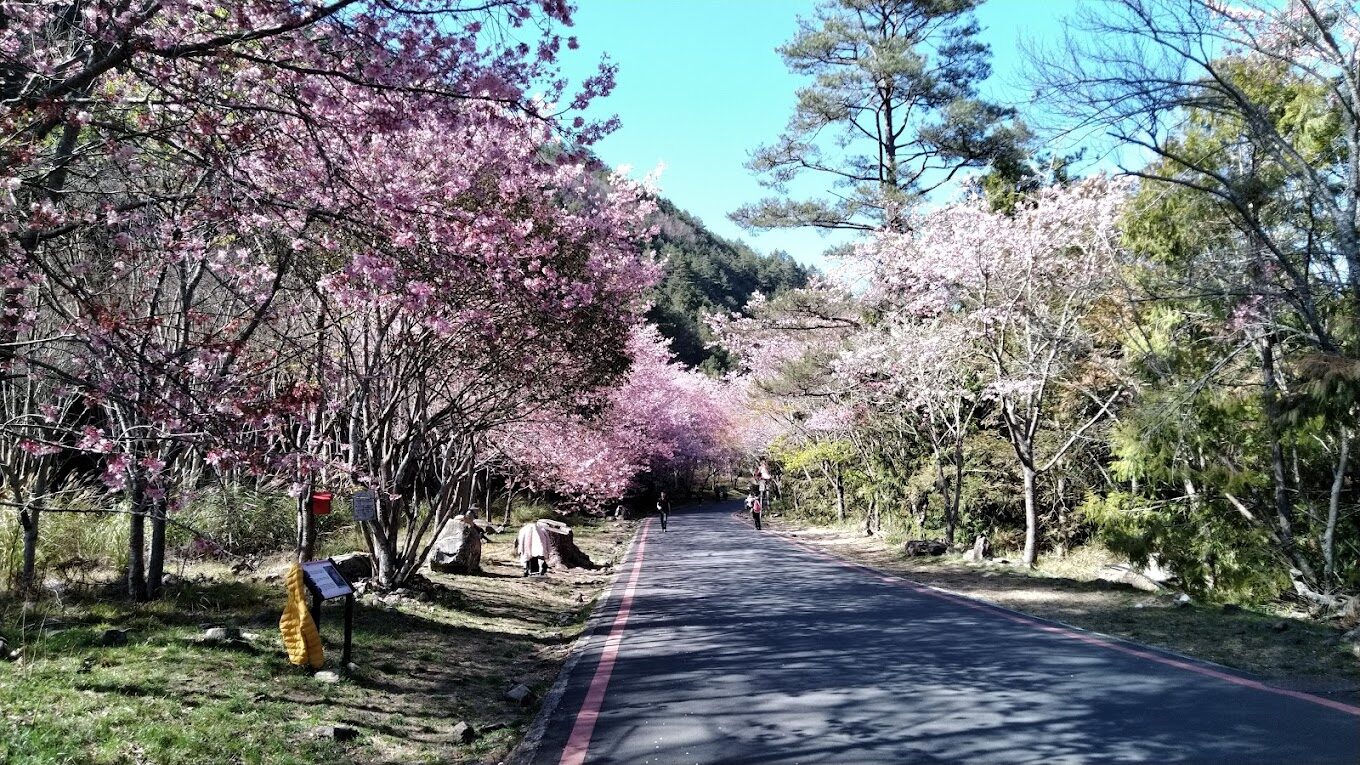不容錯過的武陵農場｜秘境景點