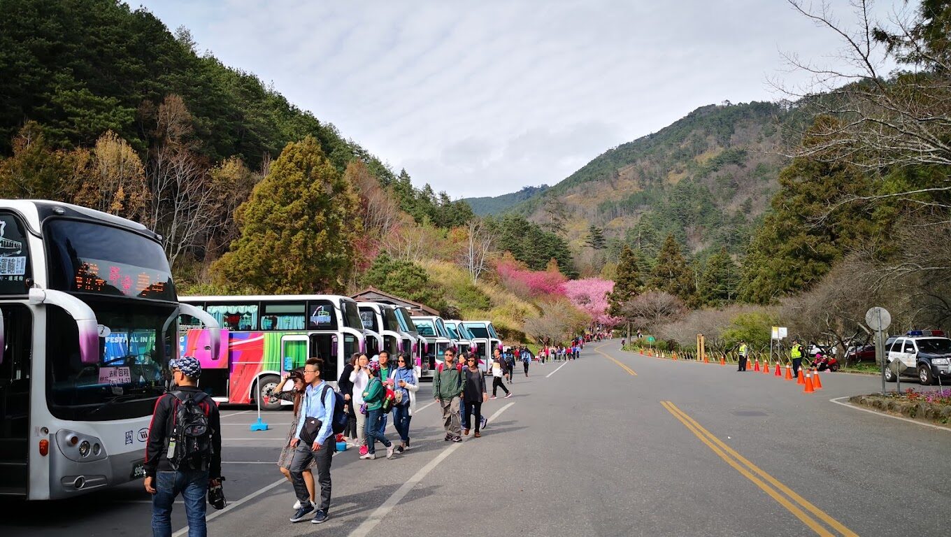 武陵農場住宿不踩雷！必知的住宿小技巧與推薦選擇